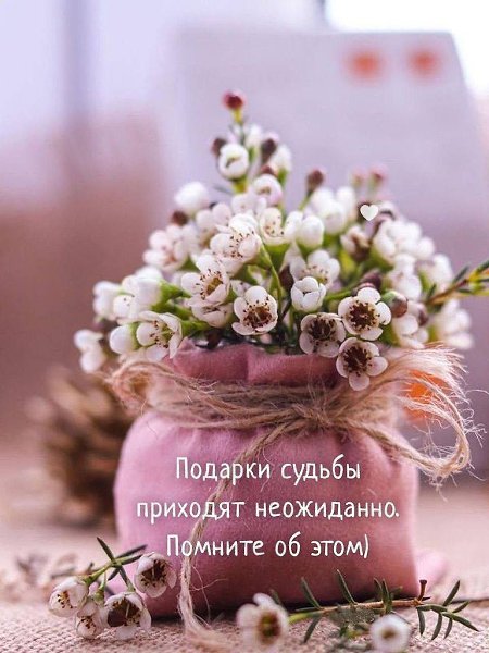   ,    . - 28  2025  16:02 - 2