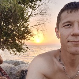 , 36, 