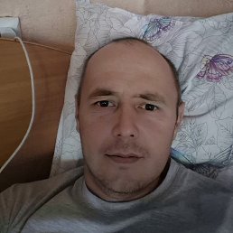 , 37, 