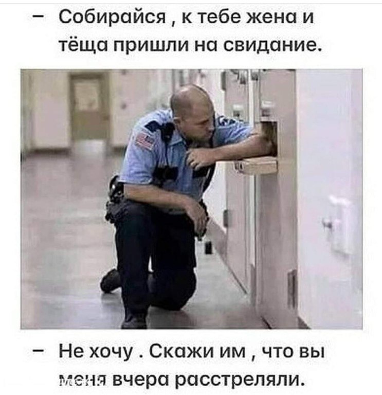 ☆ ☆ - 19  2024  04:14