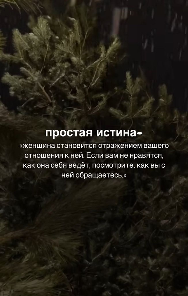   - 3  2025  12:15