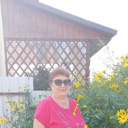 , 66, 