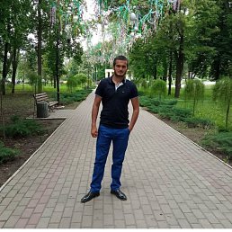 , 33, 
