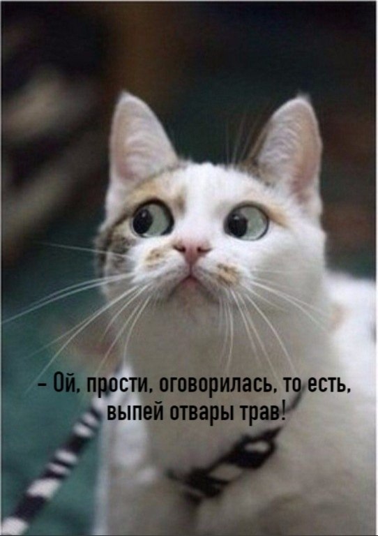 ��� ���� � ����� �� �� - 15 ������� 2025 � 17:03 - 4