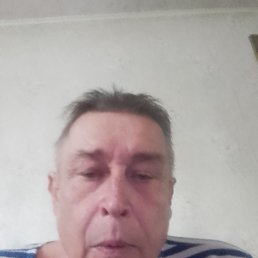 , 61, 