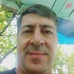 �����, ����, 48 ���