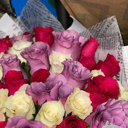 ���� Svet, ���������, 57 ��� - ��������� 12 ������� 2023