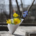 ���� ��������, ������, 41 ��� - ��������� 31 ����� 2026 � ������ ���� ����������