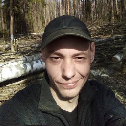, 29,  