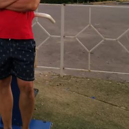 ,  , 53 