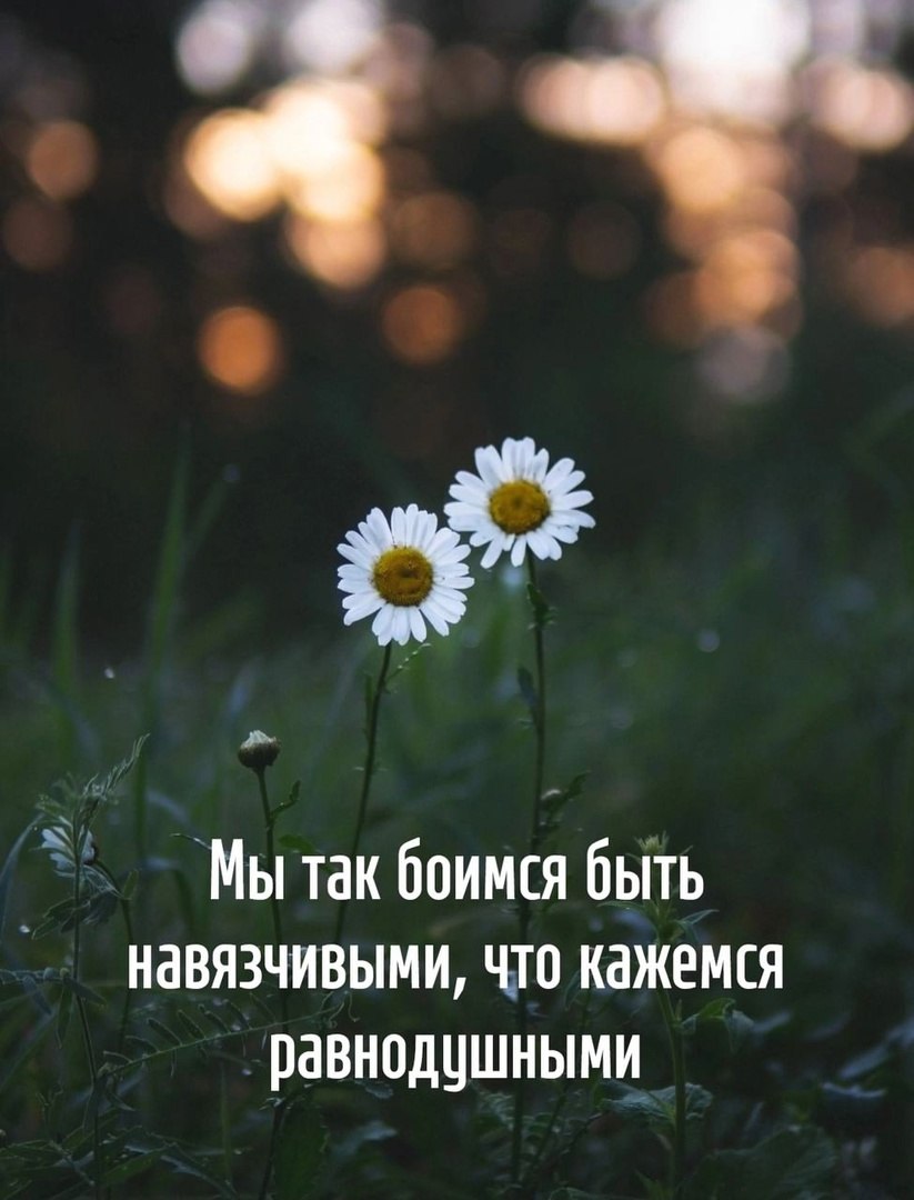  - 8  2025  03:55