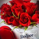 ���� �����, �������, 35 ��� - ��������� 13 ������� 2026 � ������ ���� ����������
