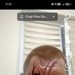 ������, ������, 36 ���