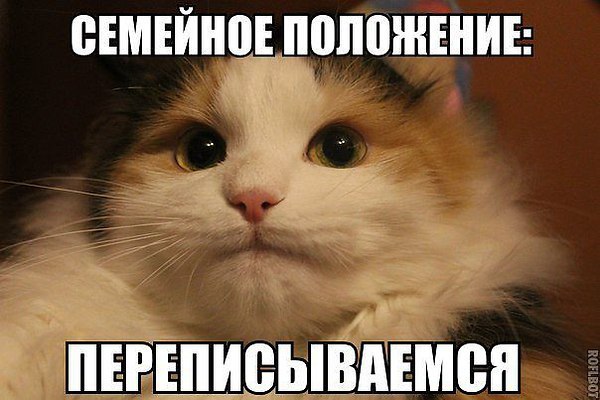  - 25  2024  21:30