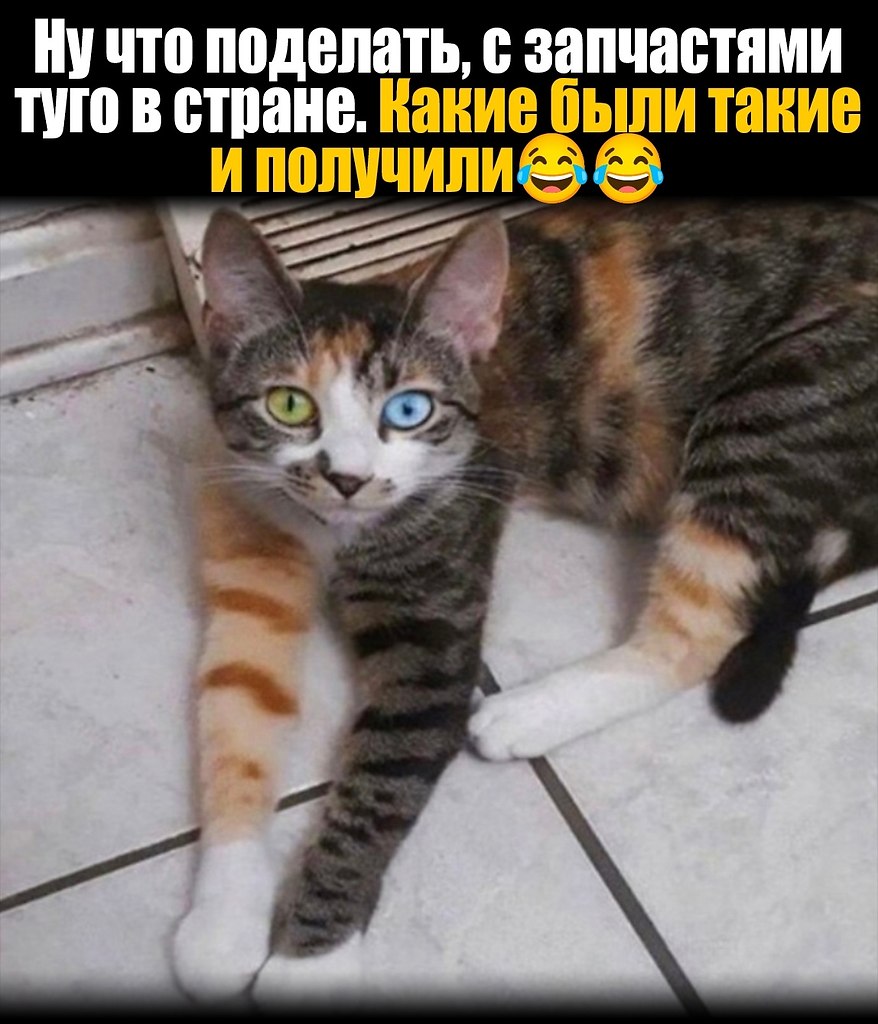  - 6  2024  02:05
