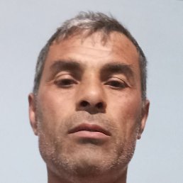 �����, ����, 46 ���