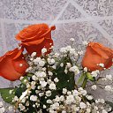 ���� ����, ������, 41 ��� - ��������� 22 ������� 2026 � ������ ���� ����������