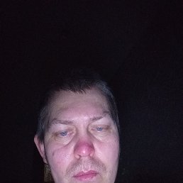 �����, 41 ���, �������