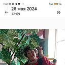 ���� ��������, ������, 63 ���� - ��������� 16 ������ 2026