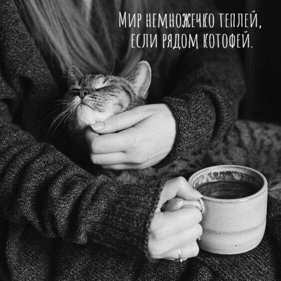       - 27  2025  13:46