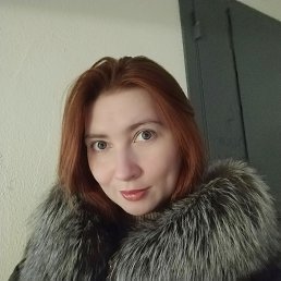 ���� ��������, �����, 37 ��� - ��������� 11 ������� 2026