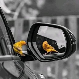 , 