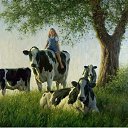  , --, 54  -  19  2025