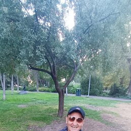 ���� �����, ������, 40 ��� - ��������� 29 ������� 2025