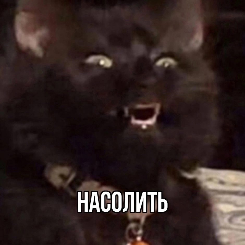 - 3  2025  11:56 - 5