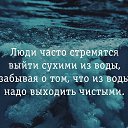  , , 55  -  11  2024    