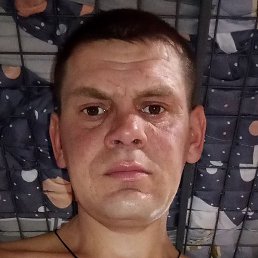 ������, ������������, 36 ���