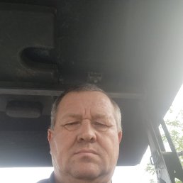 , 54 , 