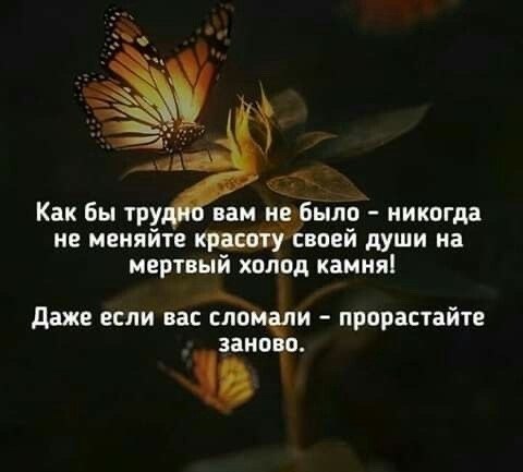   - 5  2024  15:43