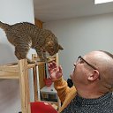 ���� �������, ����, 50 ��� - ��������� 29 ������ 2025 � ������ ������ ��������