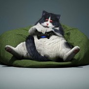 �������, 39 ���, ���������