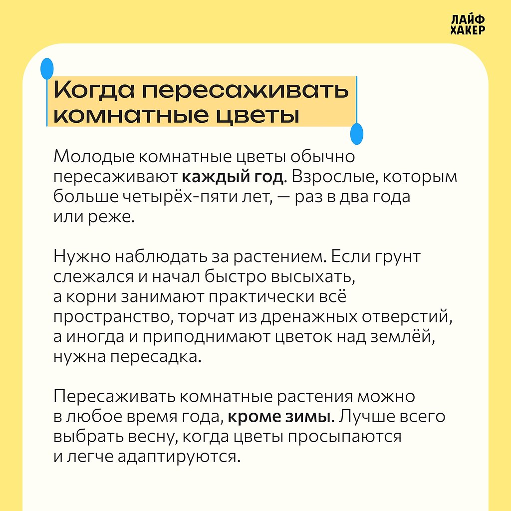 ����� � ����� ����� ������������ ��������.� ��� ������� ��� ���, ����� �� ������������ �������, ... - 2