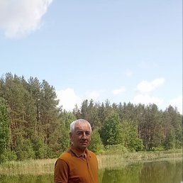 , 61, 