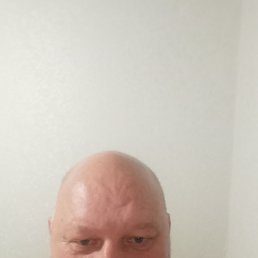 ������, 49 ���, �������