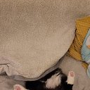 ���� �������, ������, 65 ��� - ��������� 10 ������� 2025 � ������ ������ ��������