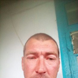 , 39 , 