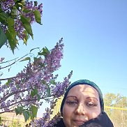 , 43 , 