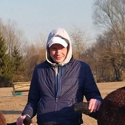 , 38, 