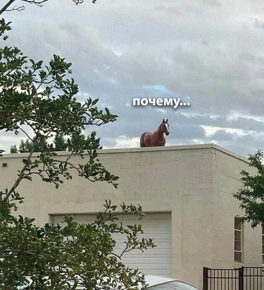    - 28  2025  08:31