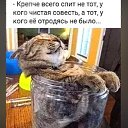 ���� �����, ������ ����� - ��������� 22 ����� 2026 � ������ ������ ��������