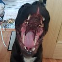 ���� ������, �����, 59 ��� - ��������� 18 ������ 2025 � ������ ������ ��������