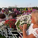  Almira,  -  10  2025    