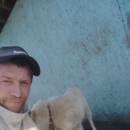 �����, 43 ����, ������������