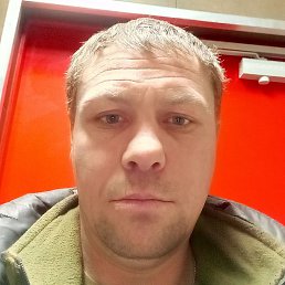 ������, ��������, 41 ���