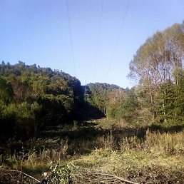 ������, �����������, 42 ����