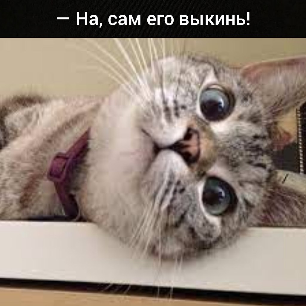 ��� ���� � ����� �� �� - 18 ��� 2026 � 16:55 - 4